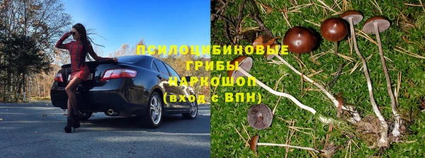 гидропоника Мегион